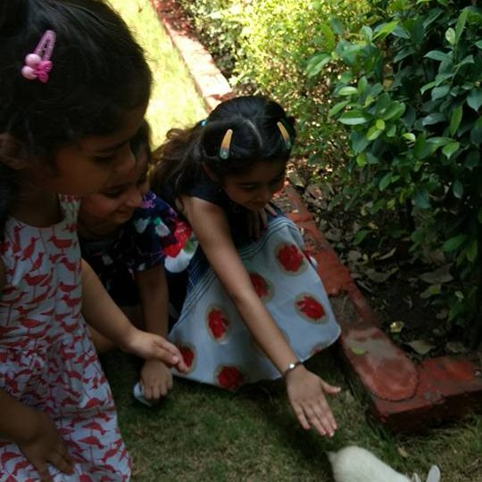 nature awareness 2