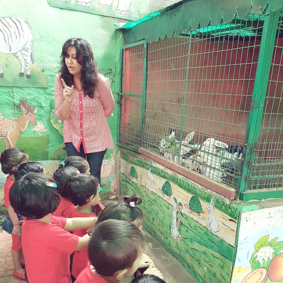 rabbits & niti